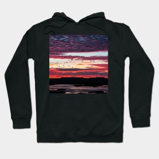 Pink and Purple Sunset with Birds in Iceland Hoodie